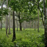 LAS CABANAS RESORT – PALAWAN, PHILIPPINES - My backyard