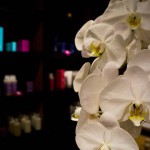 MANDARIN ORIENTAL – SAN FRANCISCO, CA – USA - Spa treatments