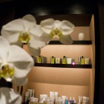 MANDARIN ORIENTAL – SAN FRANCISCO, CA – USA - Award winning spa