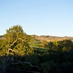 Meritage Resort - Napa Valley - Sunrise