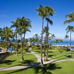 Sheraton Maui - Hawaii - Coconut trees