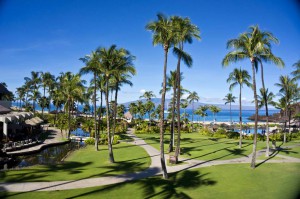 Sheraton Maui - Hawaii - Coconut trees