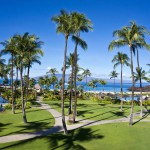 Sheraton Maui - Hawaii - Palm trees