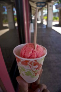TASAKA GURI GURI – MAUI, HI – USA - Ice cream sherbet