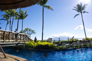 Sheraton Maui - Hawaii - Pool area and palmtrees