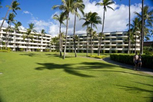 Sheraton Maui - Hawaii - Greenery