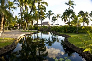 Sheraton Maui - Hawaii - Small lake in the hotel