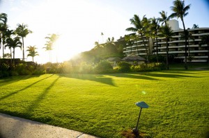 Sheraton Maui - Hawaii - Hotel and garden