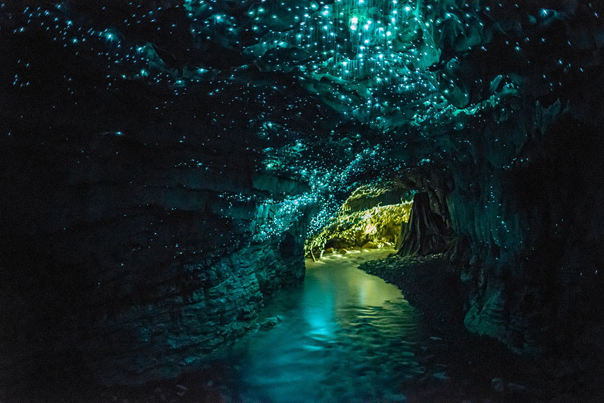 Glowworm Cave Waitomo New Zealand