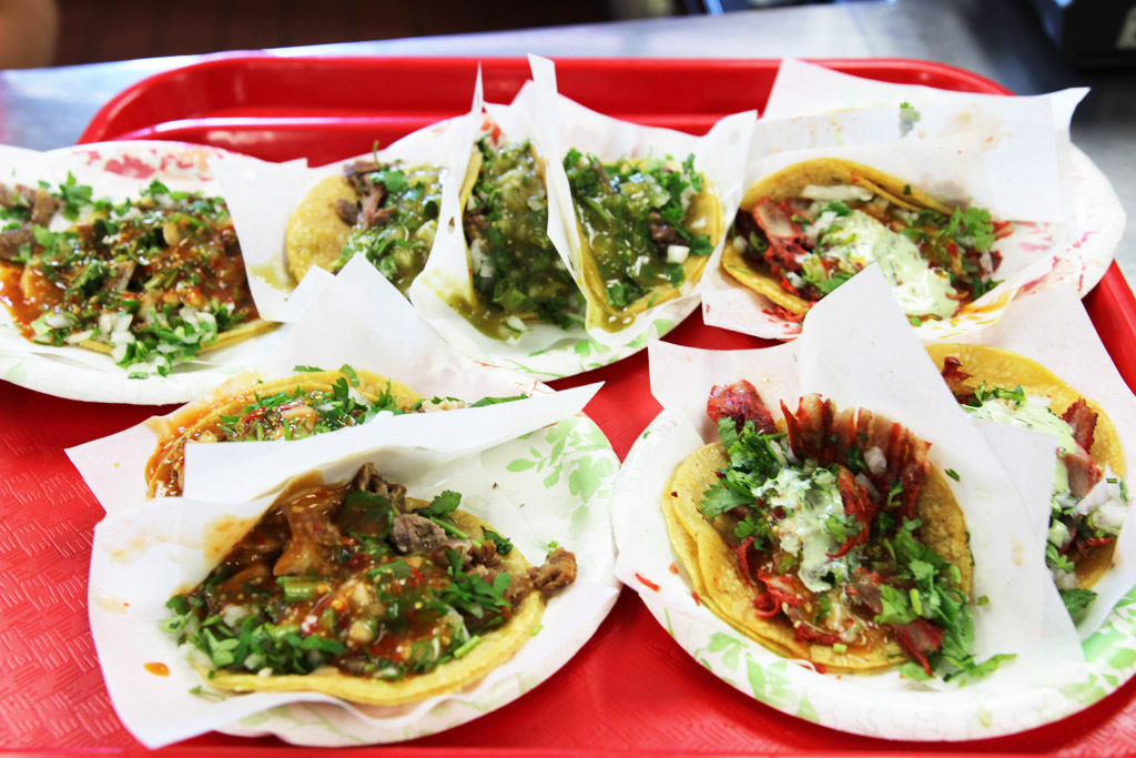 Tacos el Gordo