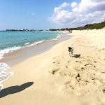 Puglia Beaches