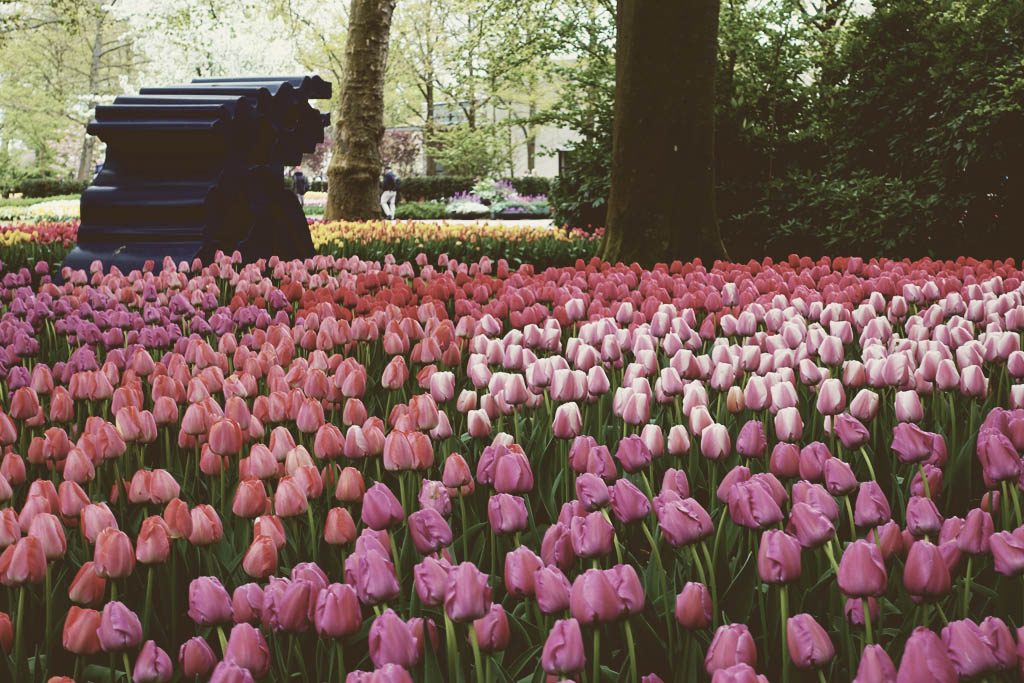 The Flower Experience Keukenhof Annemarie Pluktuin Holland