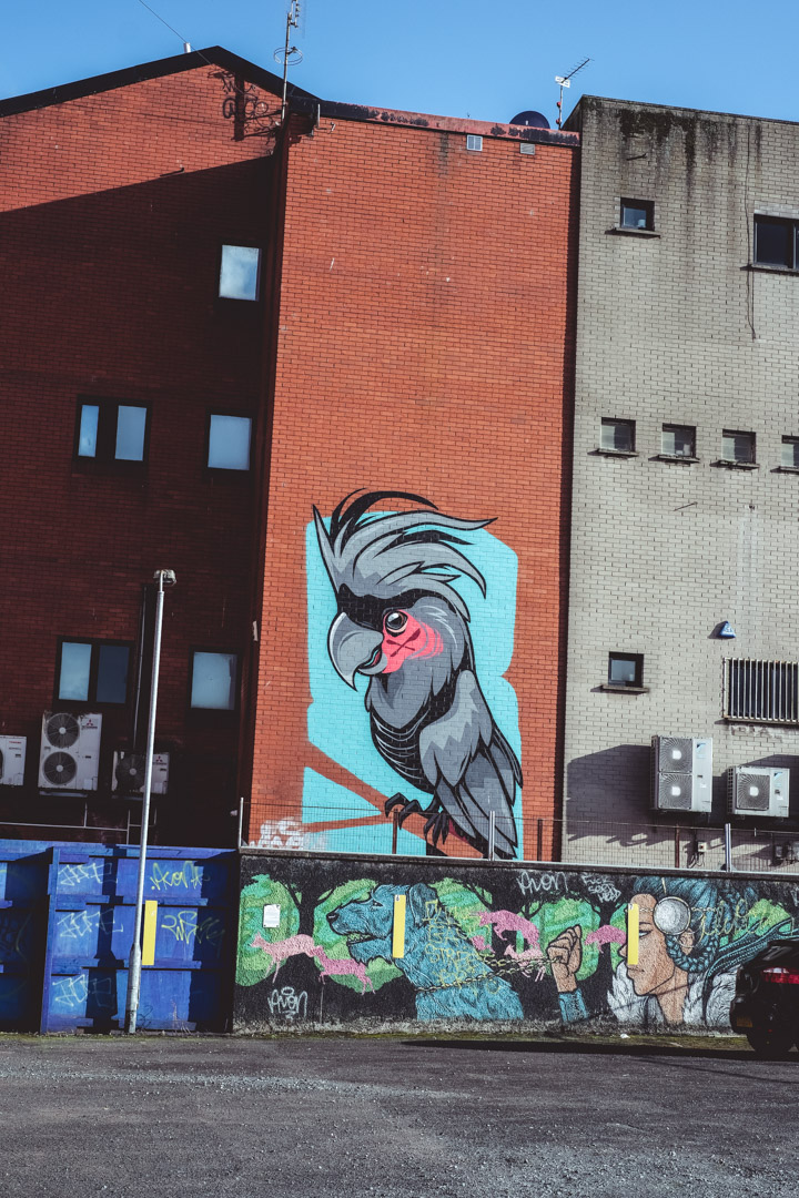 Street Art Streetart Belfast
